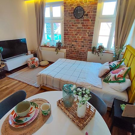 Apartamenty Piekary 11 Przy Wisle By Rentoom Stary Toruń エクステリア 写真