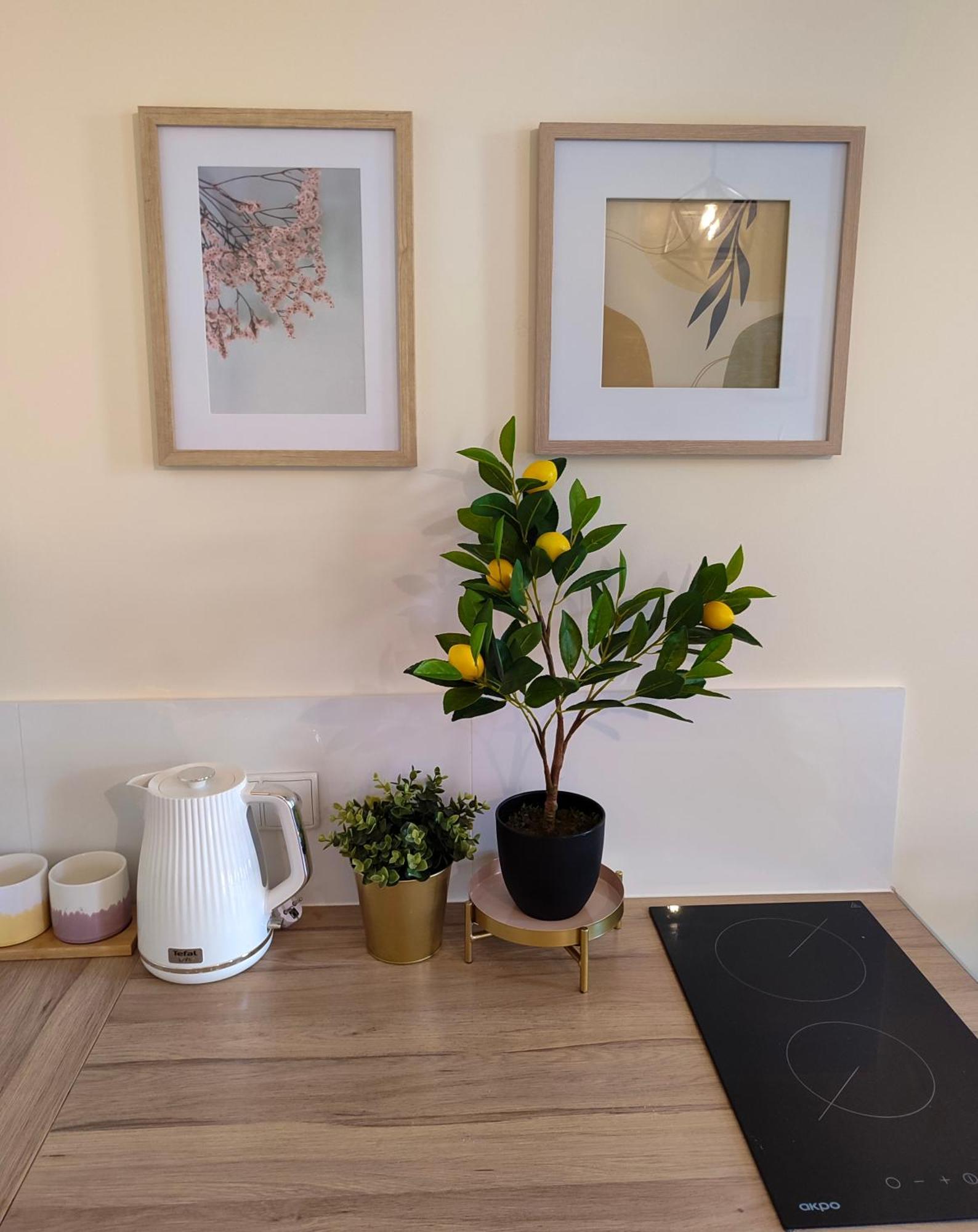 Apartamenty Piekary 11 Przy Wisle By Rentoom Stary Toruń エクステリア 写真